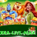 377bra - Live Max