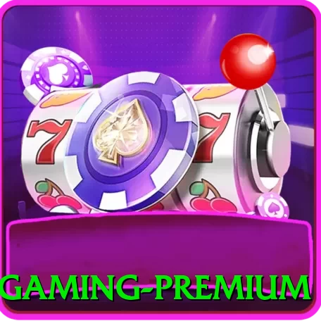ndnd - Gaming Premium - pro